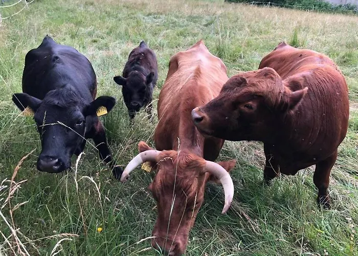 Lägenhet Taelerblick *